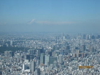 20120821e.jpg