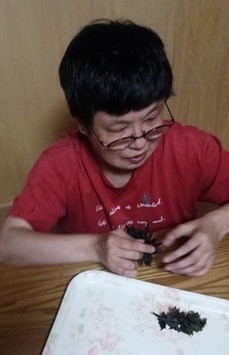 20150629a.jpg