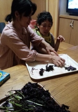 20150629b.jpg