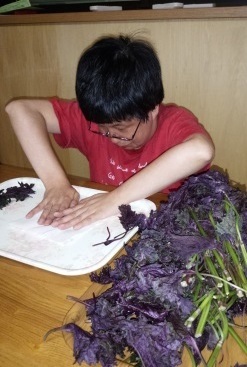 20150629c.jpg